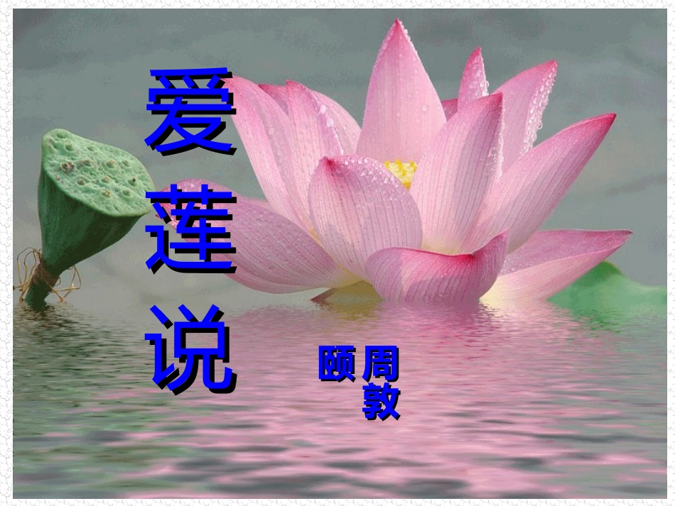 爱莲说课件专用_第1页