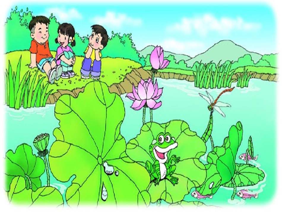 荷叶圆圆课件_第2页