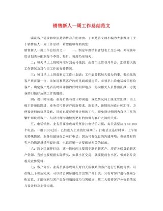 销售新人一周工作总结范文 