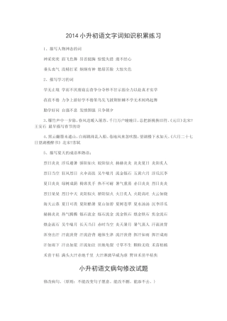 2014小升初语文字词知识积累练习