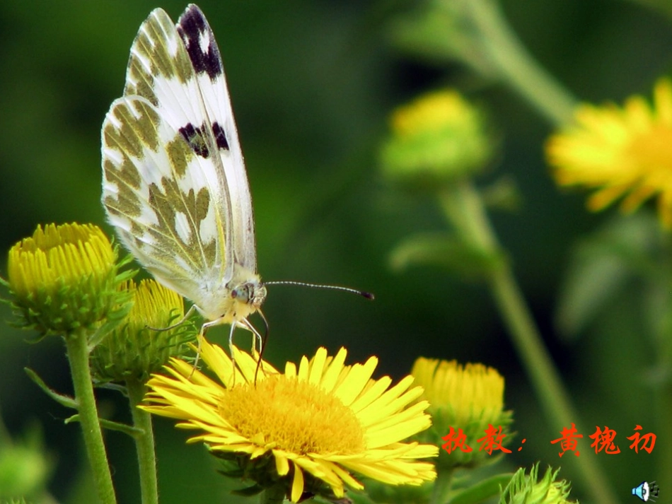 人教版一年级语文上册2、《四季》课件_第1页