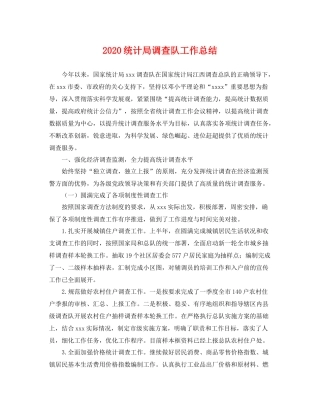 统计局调查队工作总结 