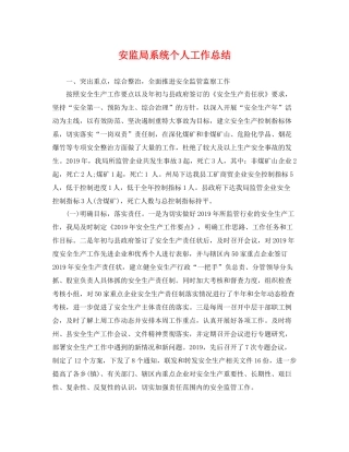 安监局系统个人工作总结 