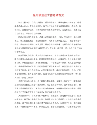 见习班主任工作总结范文 