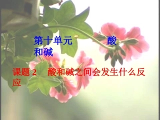 酸和碱之间会发生什么反应2