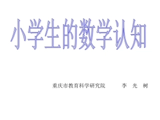 141015上午李光树小学生的数学认知