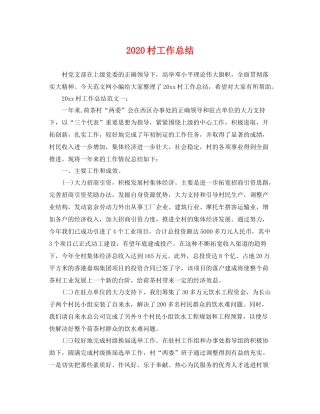村工作总结 