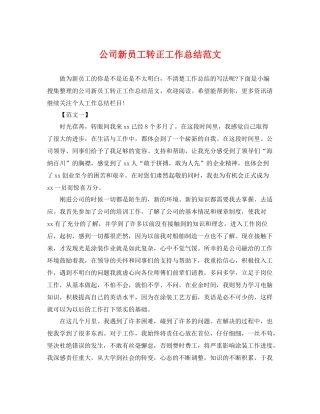 公司新员工转正工作总结范文 