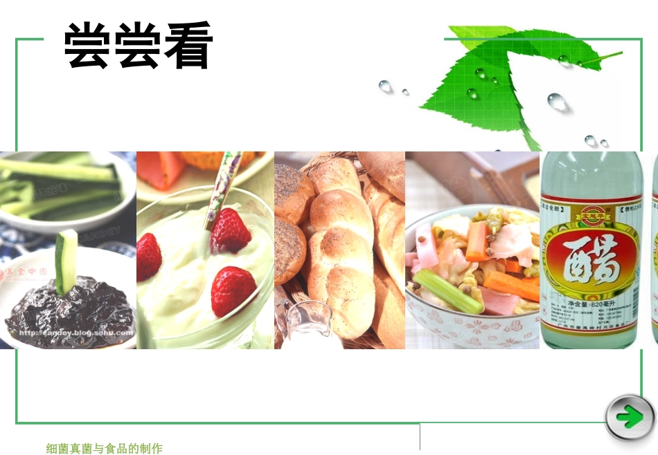 人类对细菌和真菌的利用(课件)_第3页