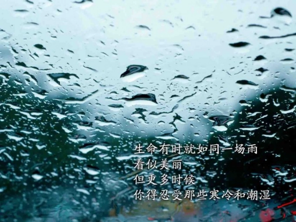 2014修订版244解直角三角形应用(1)_第3页