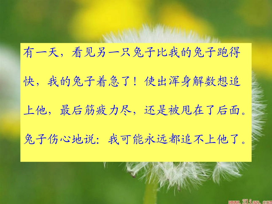 有一种教育叫做等待[1]_第3页