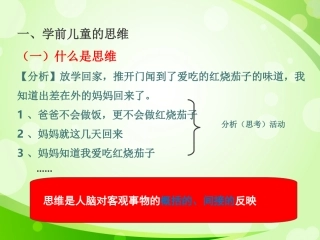 学前儿童的思维