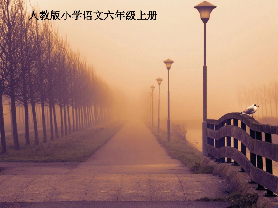 秋天的怀念 (2)_第1页