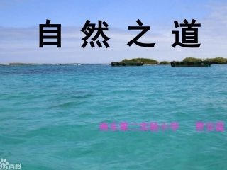 自然之道新PowerPoint演示文稿