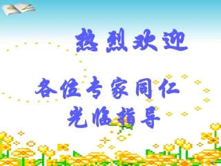 《探索与表达规律》