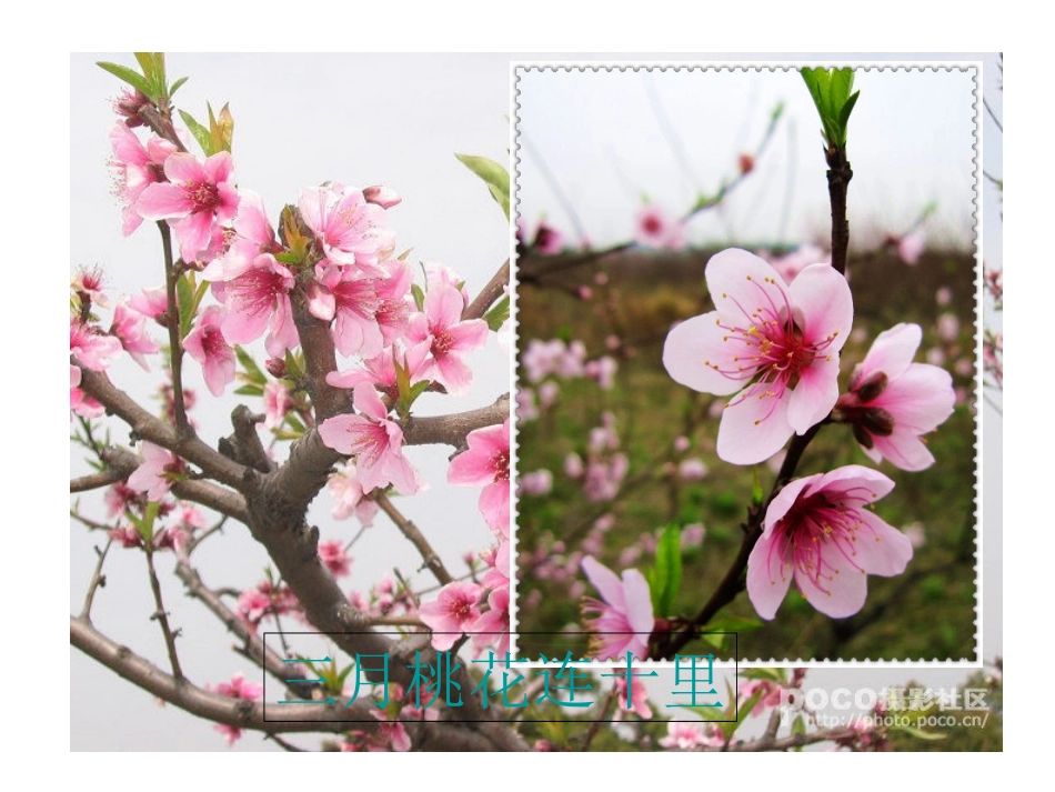 四上语文园地二_第3页