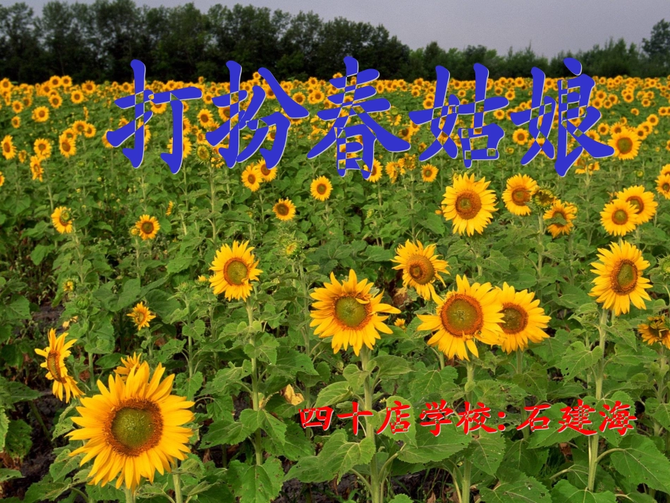 花草树木点头笑1_第1页