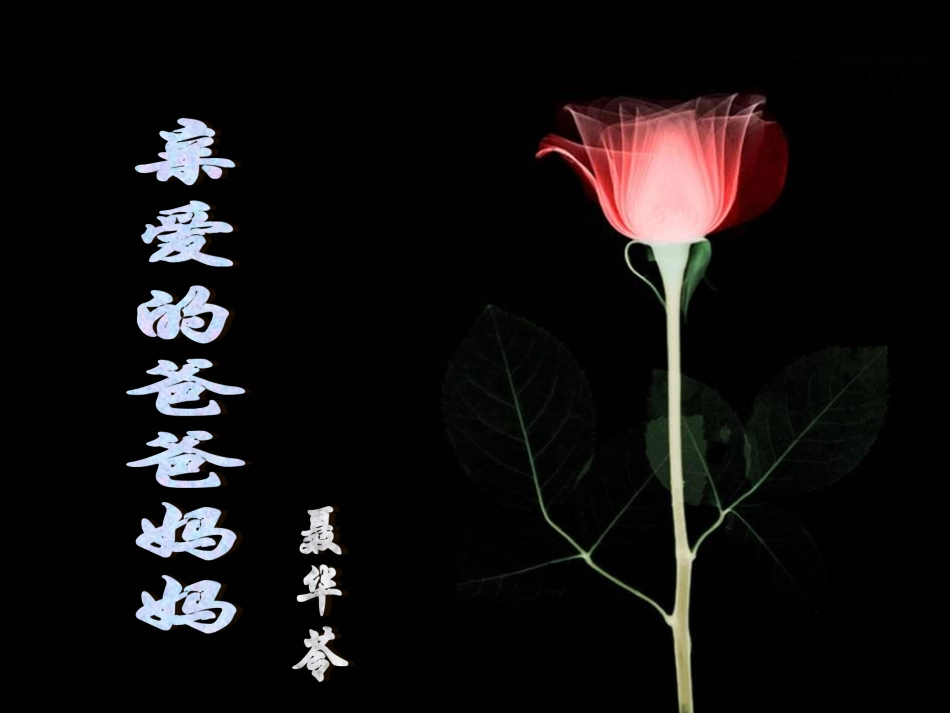课件《亲爱的爸爸妈妈》_第1页