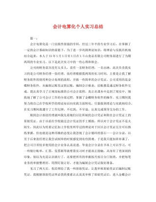 会计电算化个人实习总结 