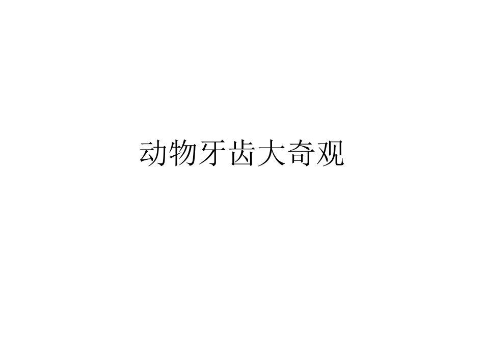 动物牙齿大奇观_第1页