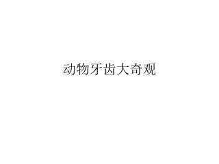 动物牙齿大奇观