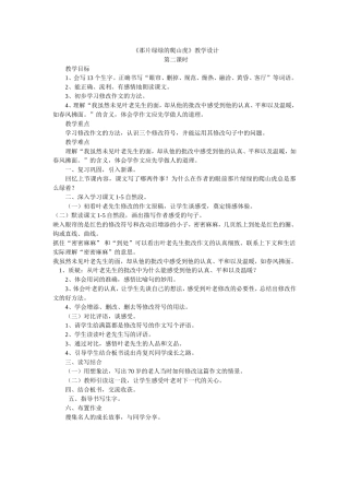 那片绿绿的爬山虎