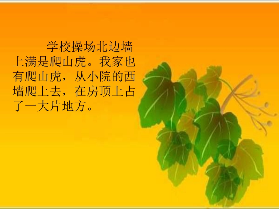《爬山虎的脚》_第2页