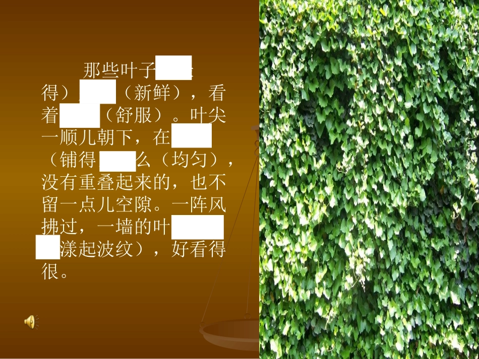 《爬山虎的脚》_第3页