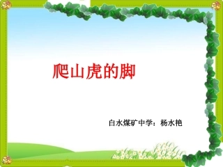 《爬山虎的脚》