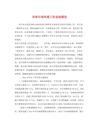 市审计局年度工作总结报告 