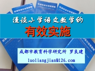 漫谈小学语文教学的有效实施