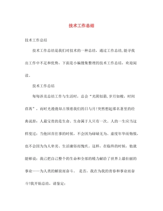 技术工作总结 