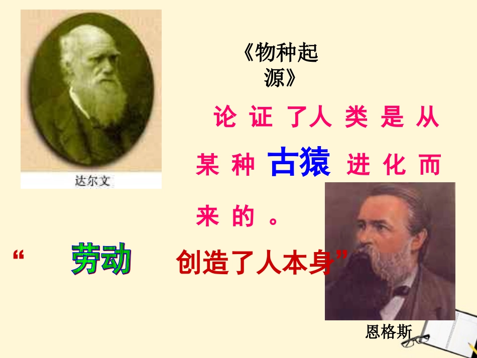 九年级历史上册第一单元第1课《人类的形成》课件人教新课标版_第3页