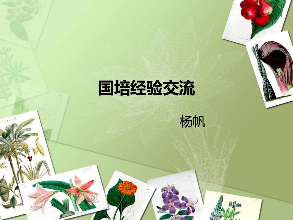 国培经验交流_第1页
