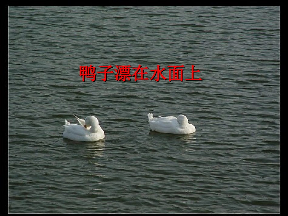 【精品课件】145浮力_第1页