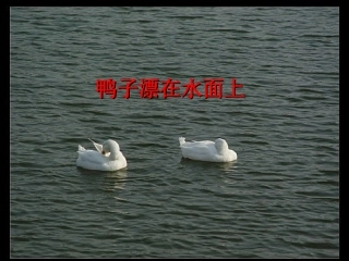 【精品课件】145浮力