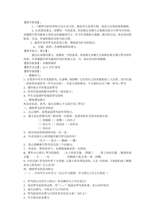 翠鸟教学要求