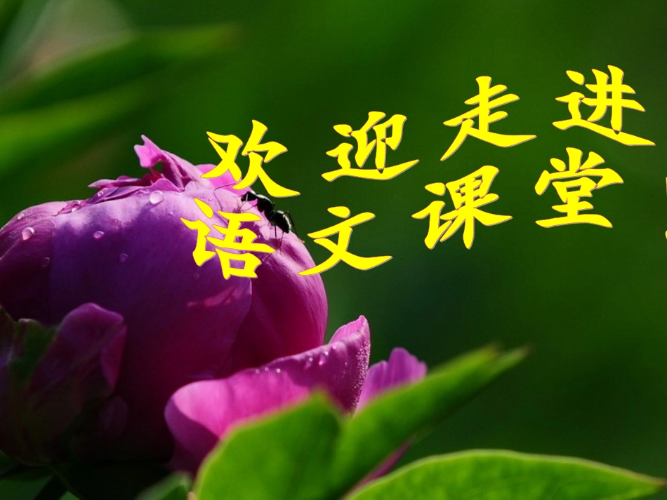 短文两篇蝉(1)_第1页