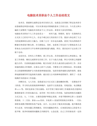 电脑技术员职业个人工作总结范文 