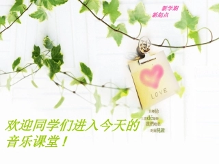 西部风情依马呀吉松