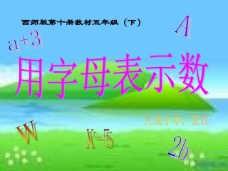 用字母表示数 (2)