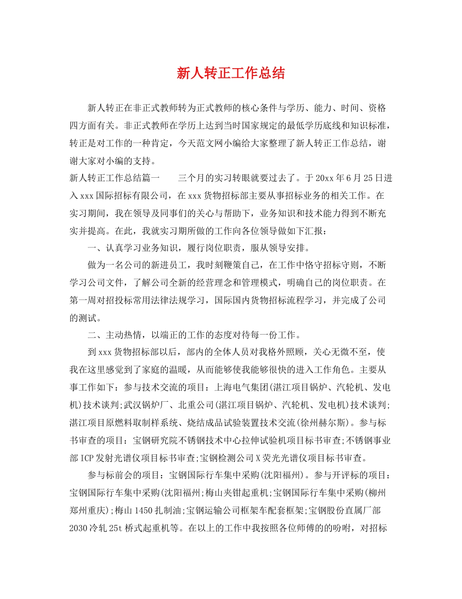 新人转正工作总结 _第1页