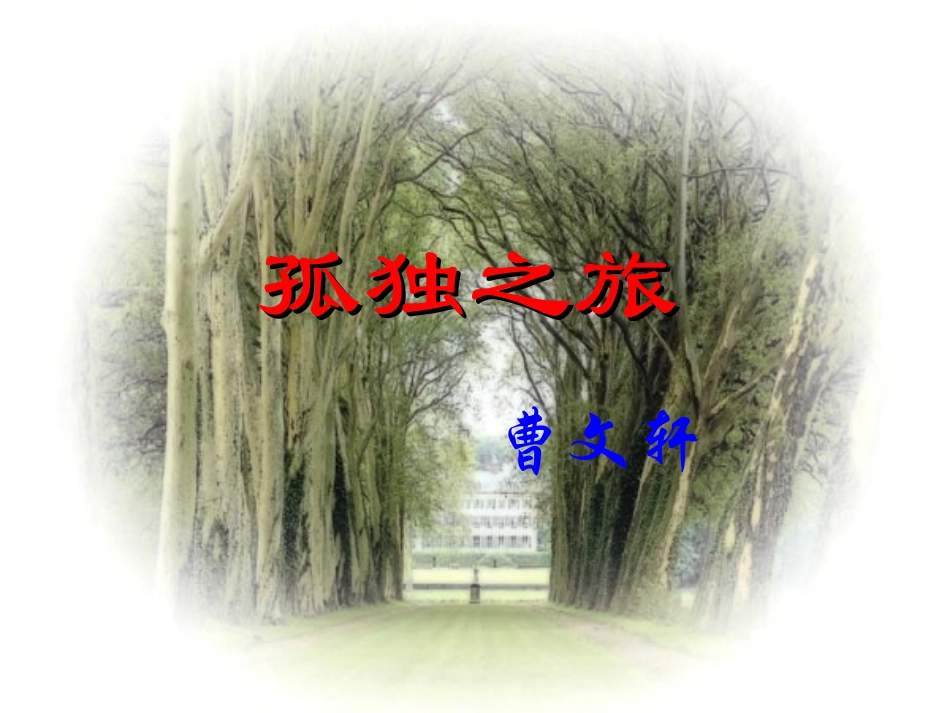 孤独之旅 (2)_第1页