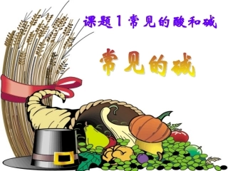 常见的酸和碱复习课用