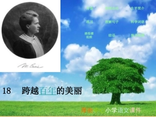 跨越百年的美丽 (3)