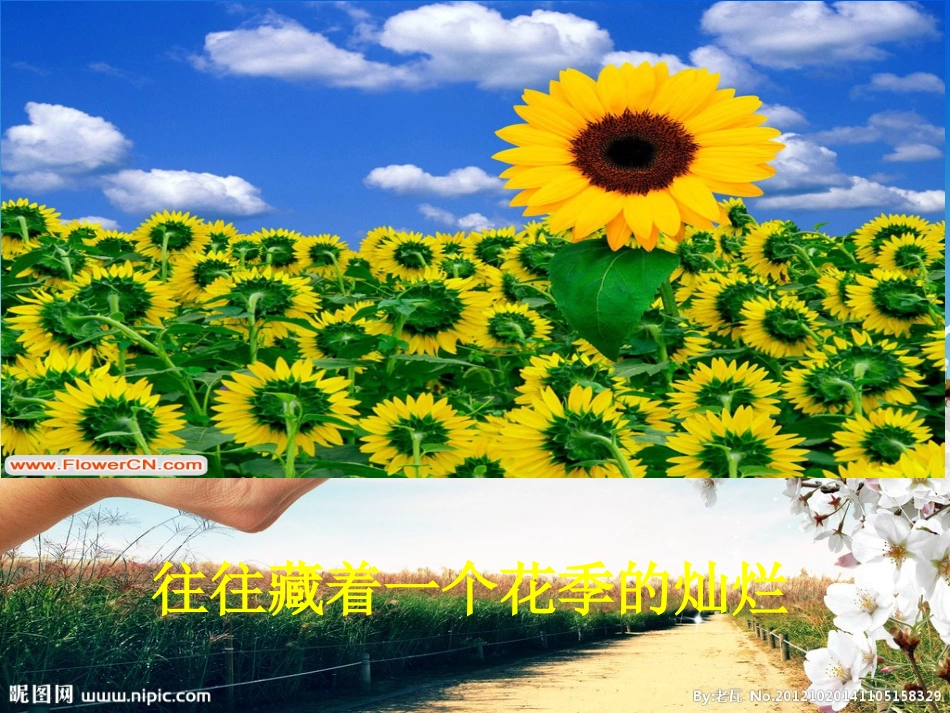 一粒貌不惊人的种子_第2页