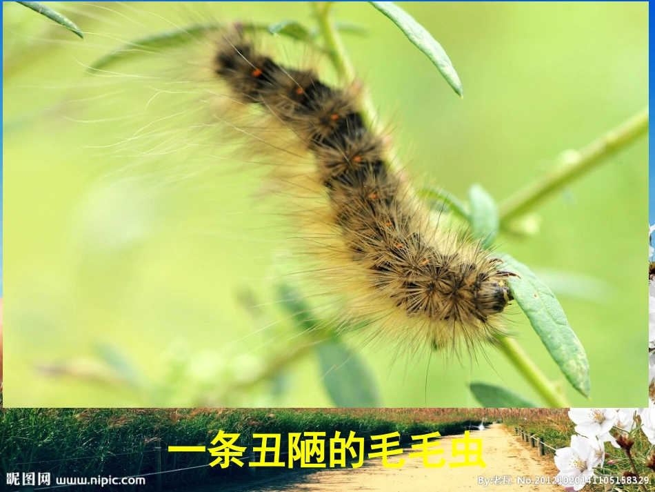 一粒貌不惊人的种子_第3页