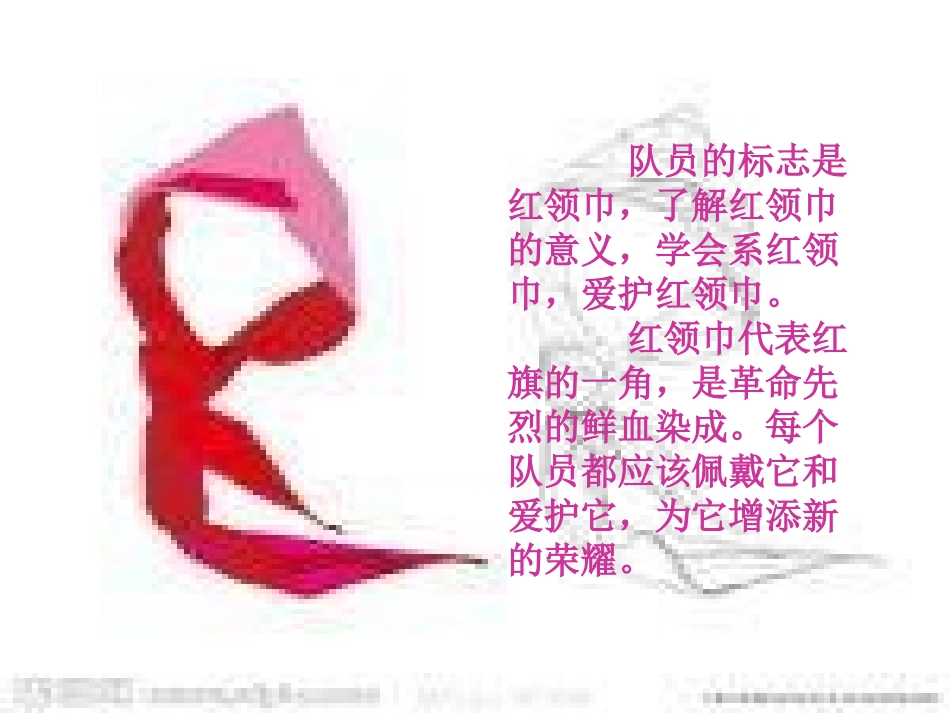 少先队队前教育_第3页