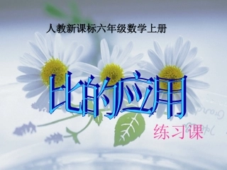 比的应用练习课