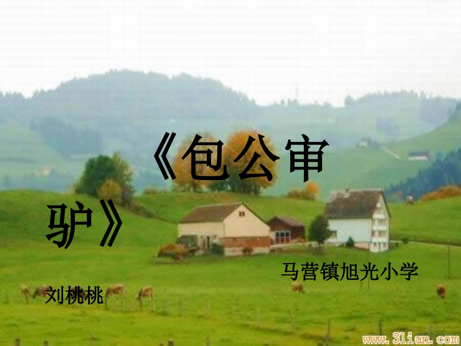 包公审驴制作刘桃桃_第2页